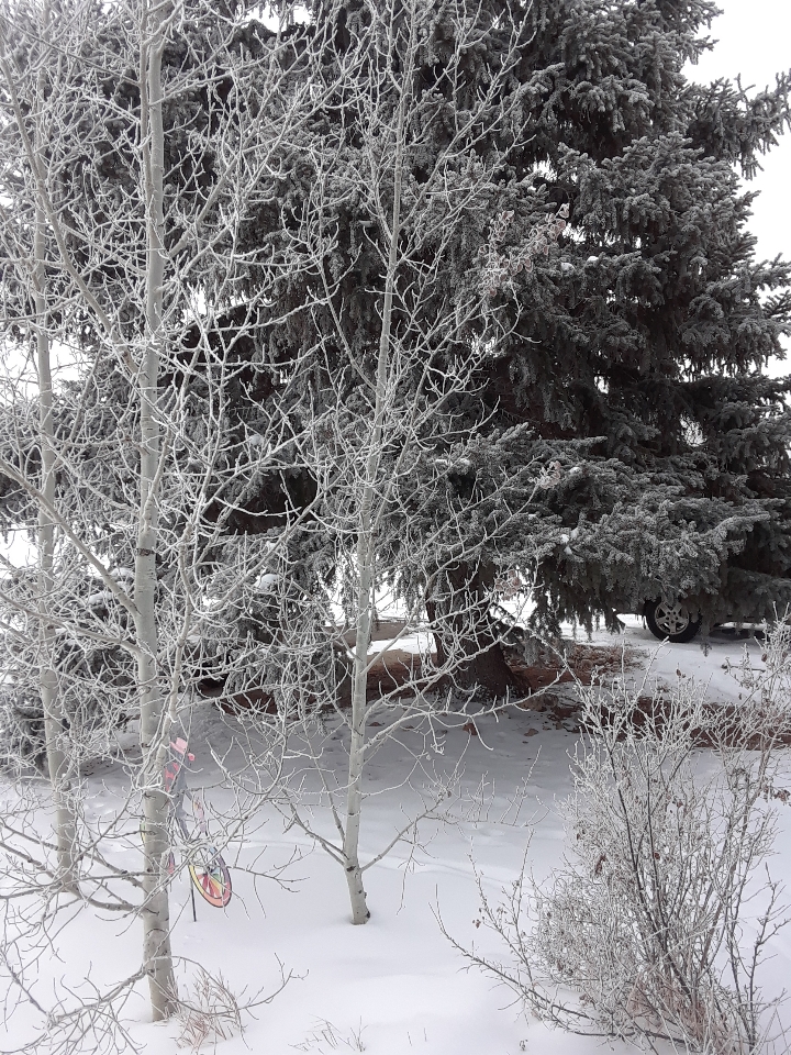 hoarfrost 1218