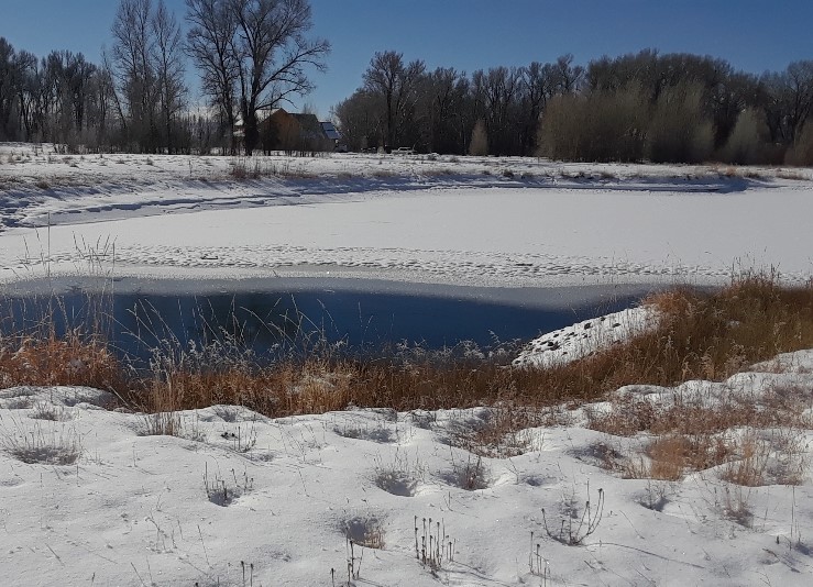 pond 0119