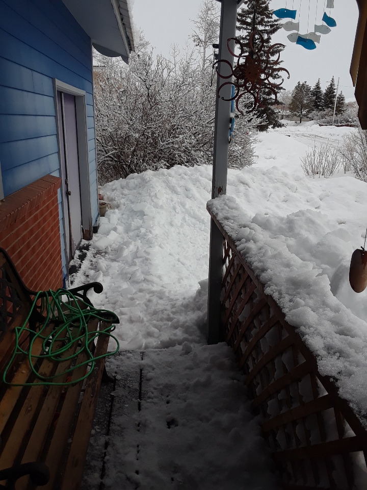 porch 0319