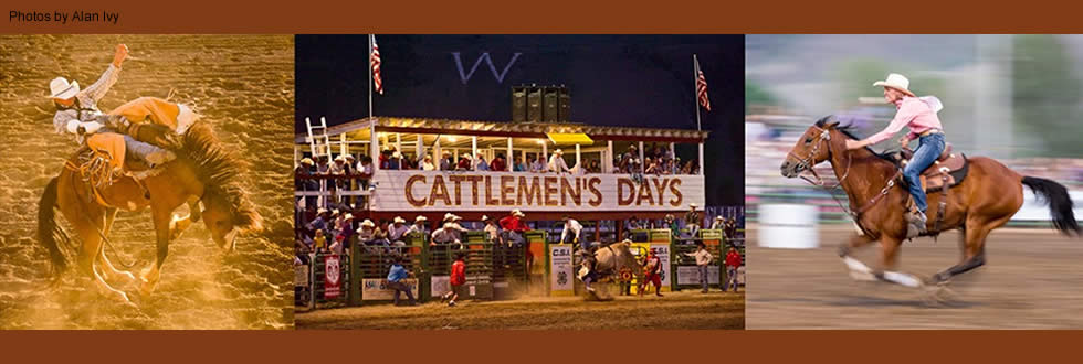 cow days 0719