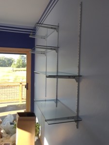 lynn shelves 0819