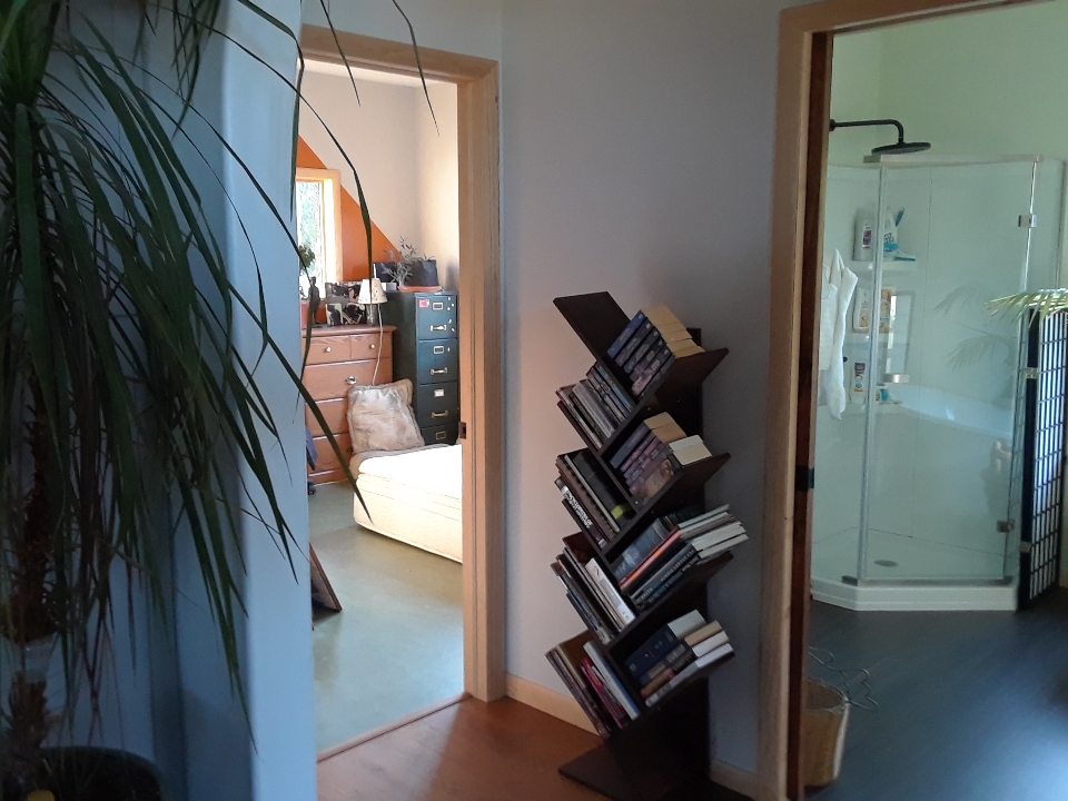 new bookcase 0919