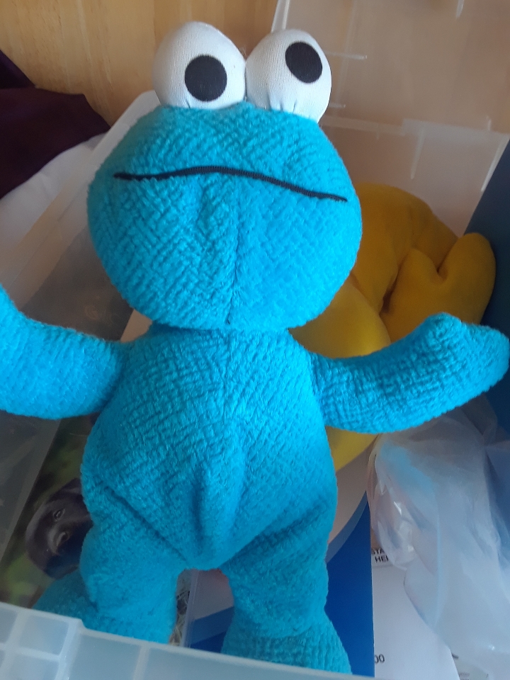 baby cookie monster 1119