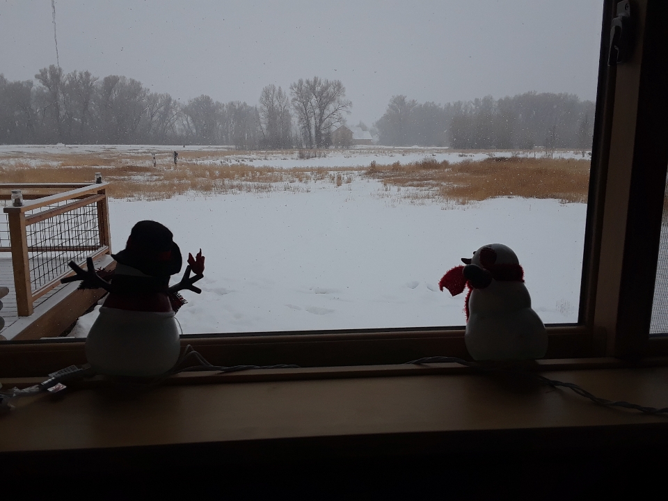 snowmen window 0120