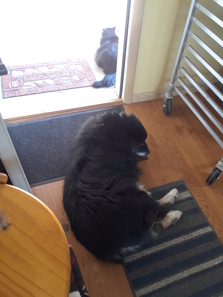 marrakesh oz door 0520