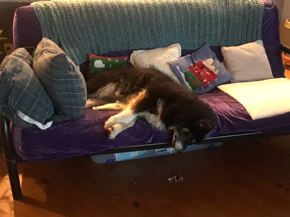 oz sleeping 0720